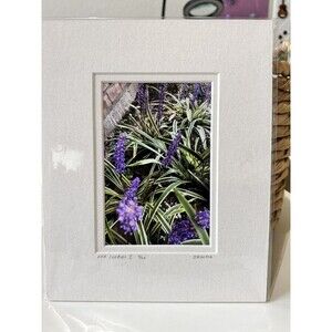 Original Photography 5X7 Picture Double Matted For 8X10 Frame